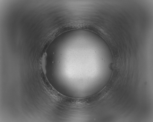 X0000062610737200601040938