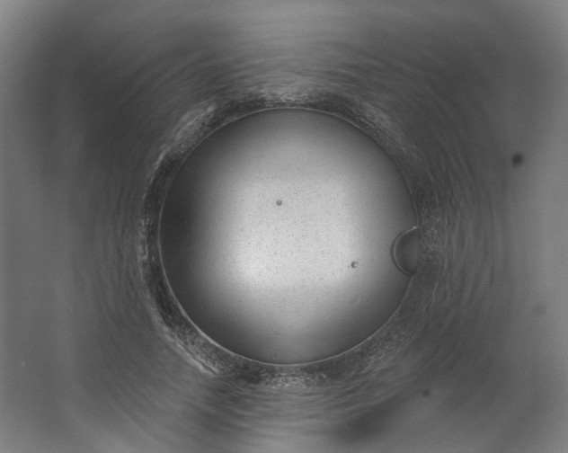 X0000062610738200601040938