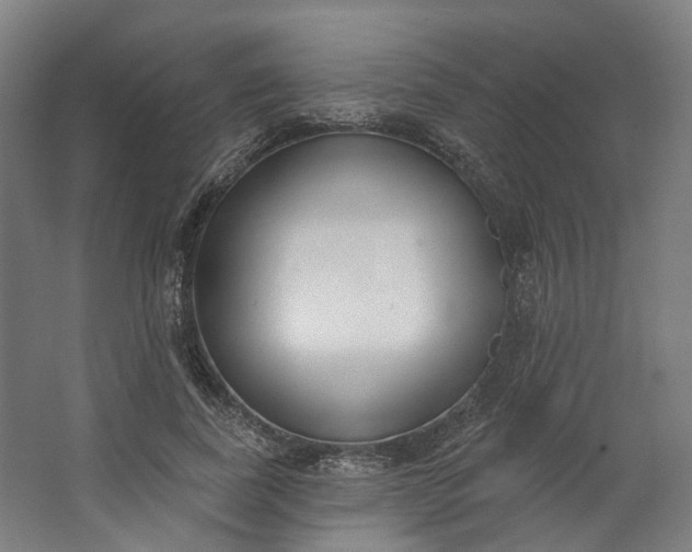 X0000062610739200601040938