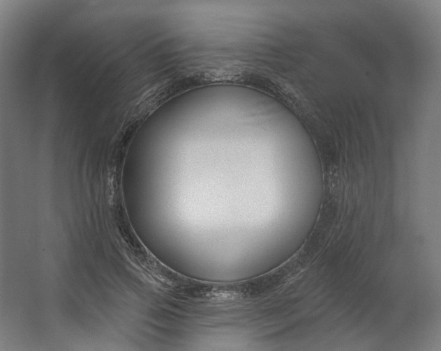 X0000062610741200601040939