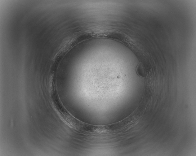 X0000062610742200601040939