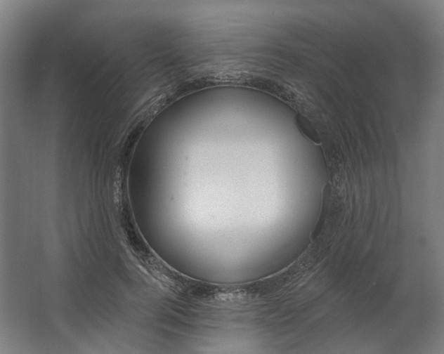 X0000062610744200601040939