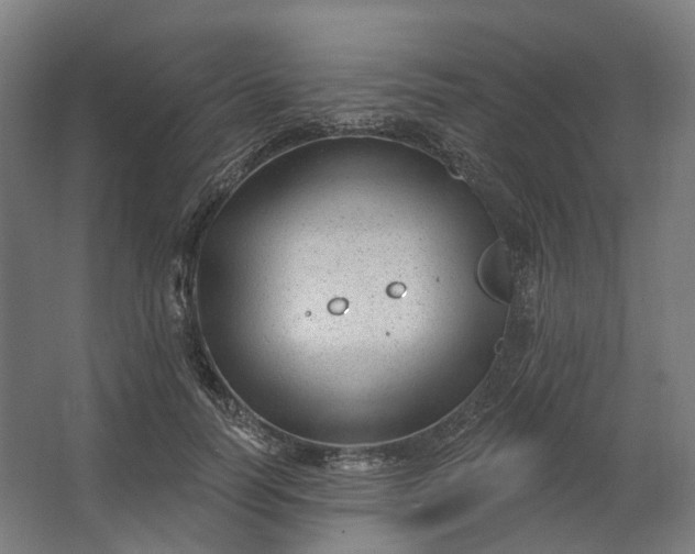 X0000062610746200601040939