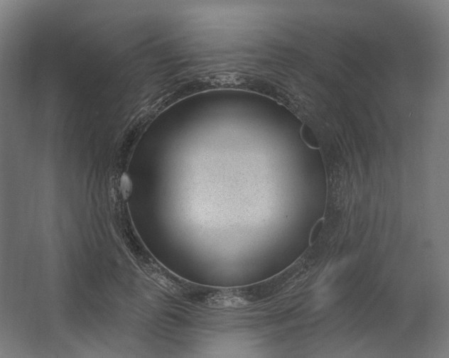 X0000062610747200601040939