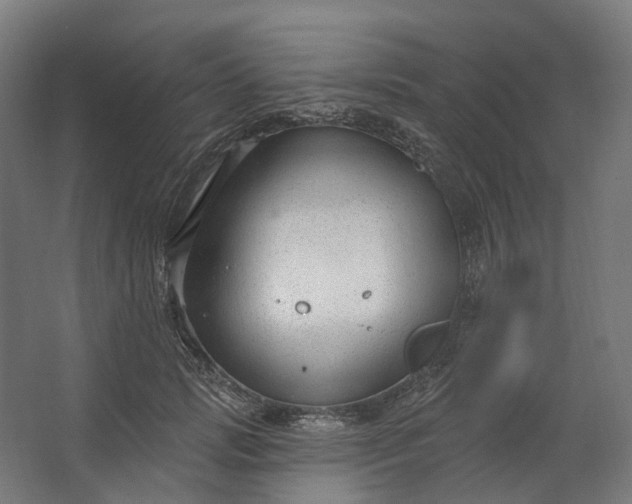 X0000062610749200601040939