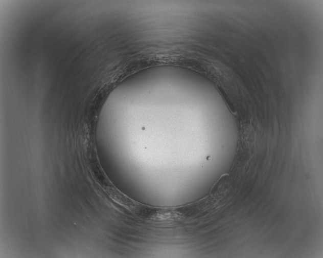 X0000062610752200601040939