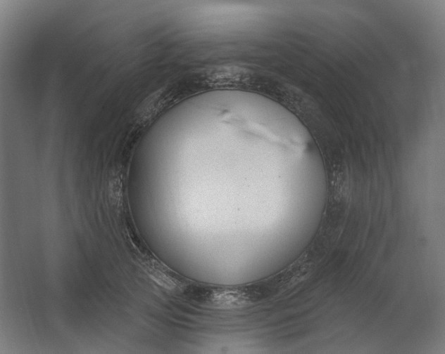 X0000062610753200601040939