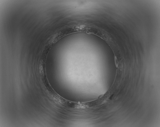 X0000062610754200601040939