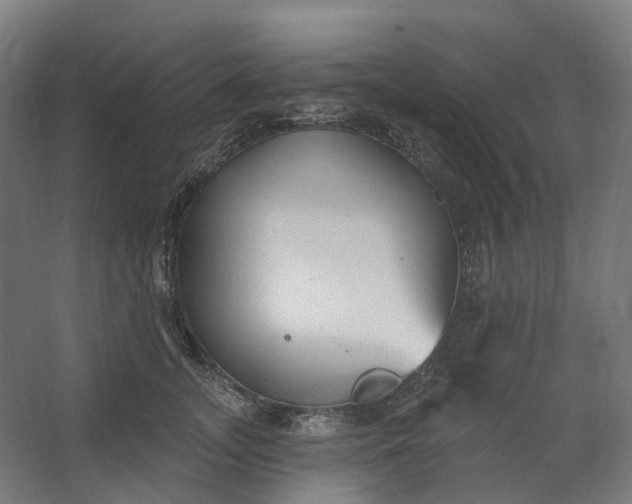 X0000062610755200601040939