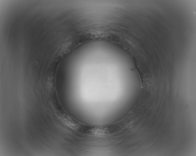 X0000062610756200601040939