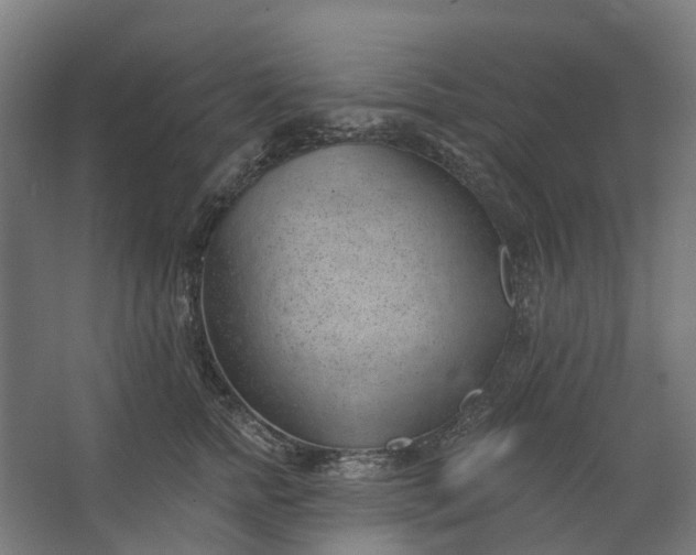 X0000062610758200601040939