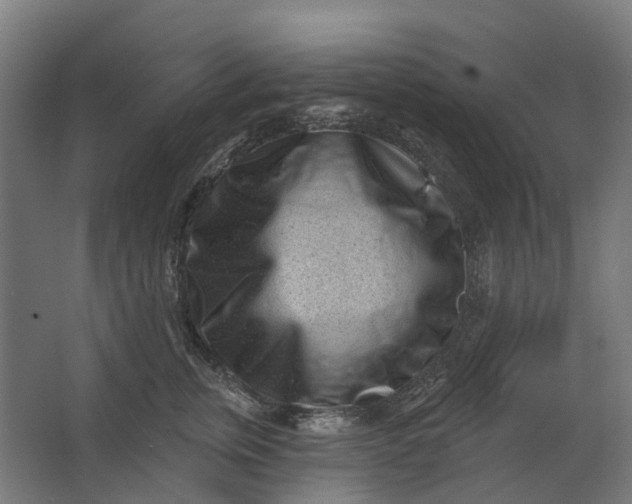 X0000062610759200601040939