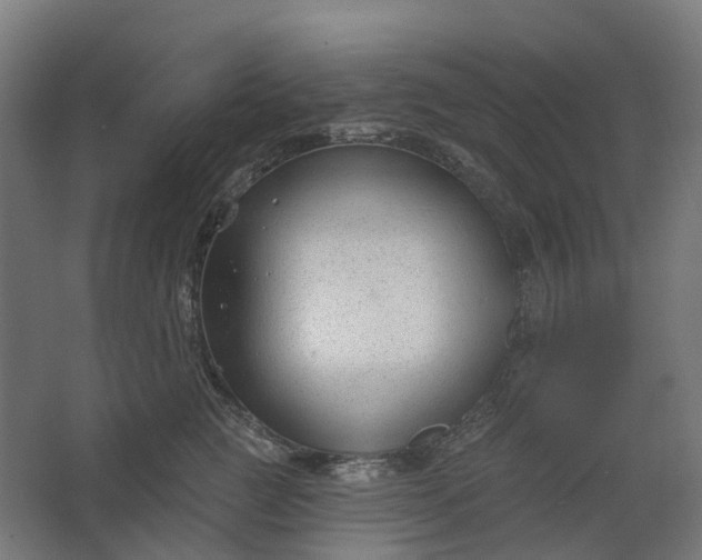 X0000062610761200601040939