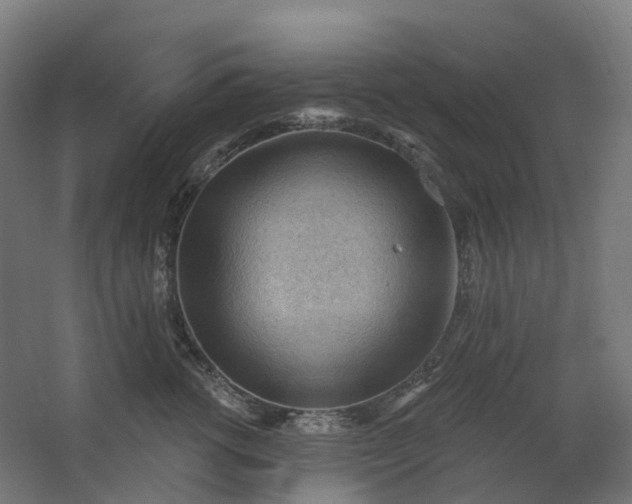 X0000062610762200601040939