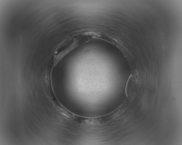 X0000062610763200601040939