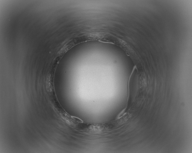 X0000062610764200601040939