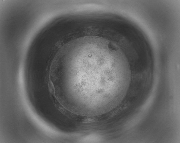 X0000062610765200601040939