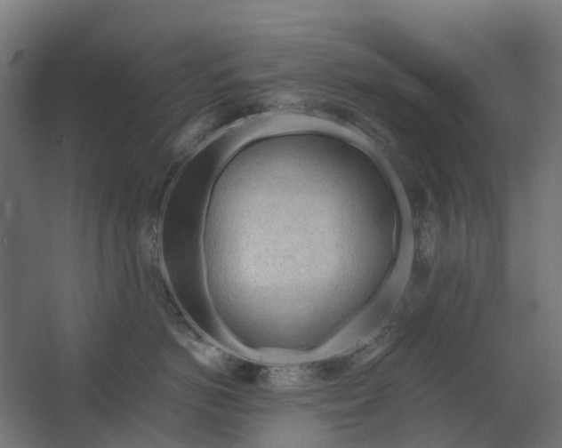 X0000062610766200601040939