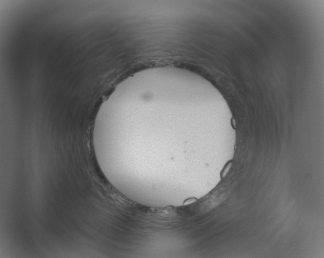 X0000062610768200601040939