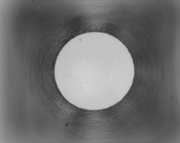 X0000062610769200601040938