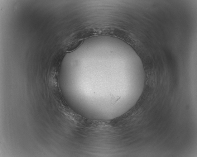 X0000062610770200601040938