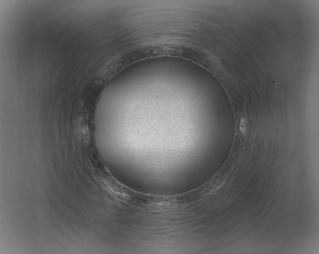 X0000062610771200601040938