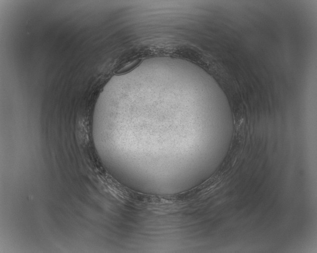 X0000062610772200601040938