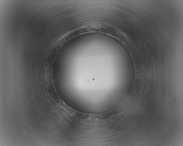 X0000062610773200601040938