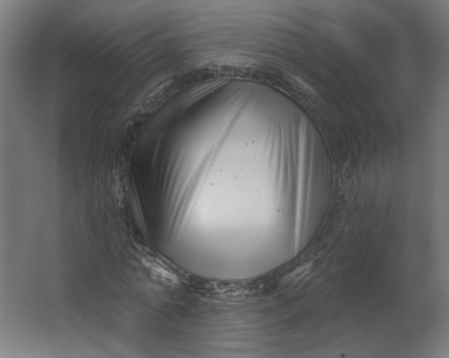 X0000062610774200601040938