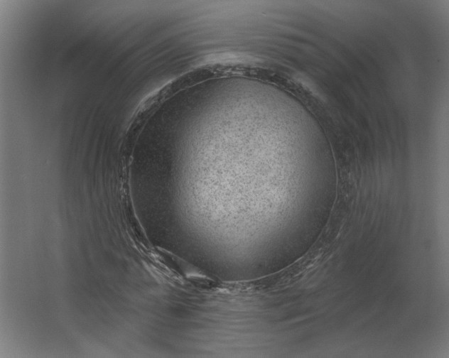 X0000062610775200601040938