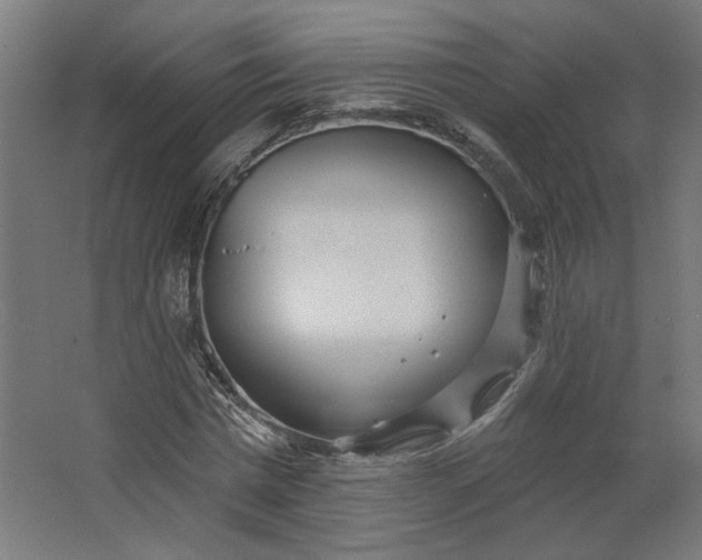 X0000062610777200601040938