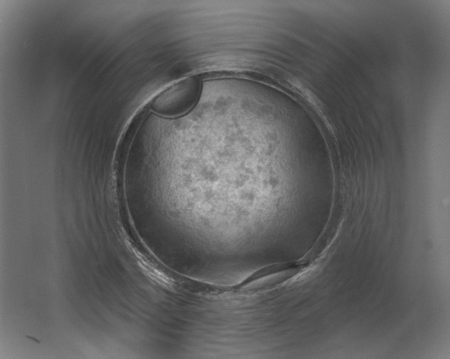 X0000062610779200601040938