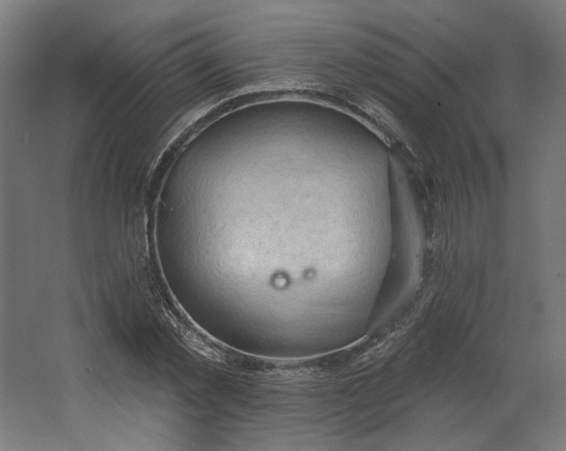 X0000062610781200601040938