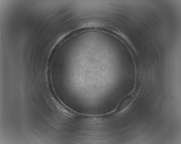 X0000062610783200601040938