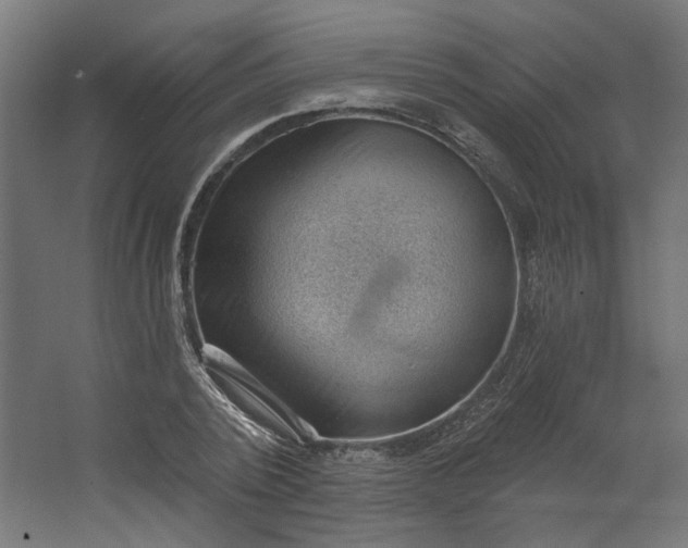 X0000062610784200601040938