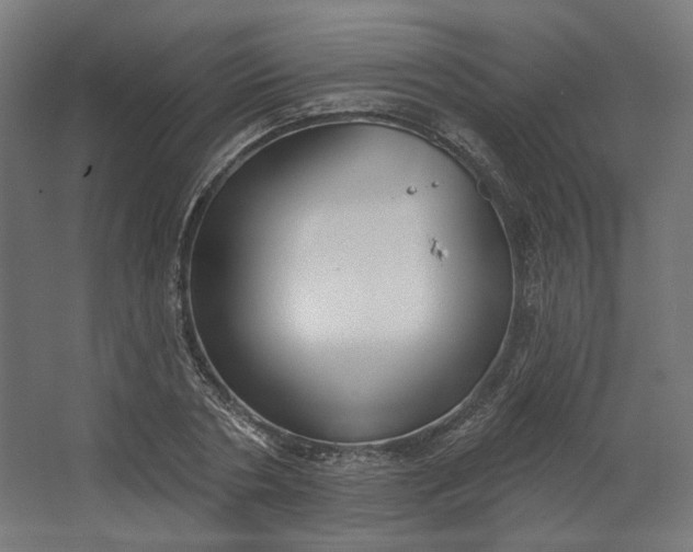 X0000062610786200601040938