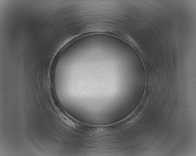 X0000062610787200601040938