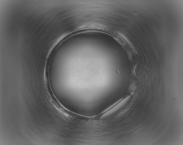 X0000062610788200601040938