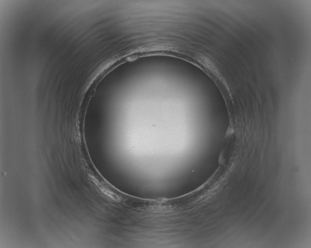 X0000062610789200601040938