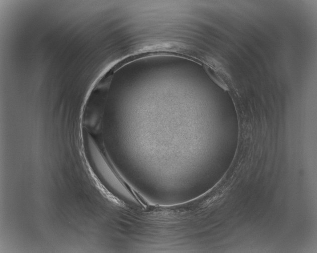 X0000062610792200601040938