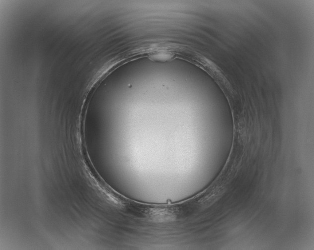 X0000062610794200601040938