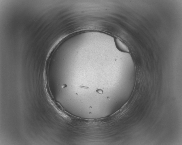 X0000062610796200601040938