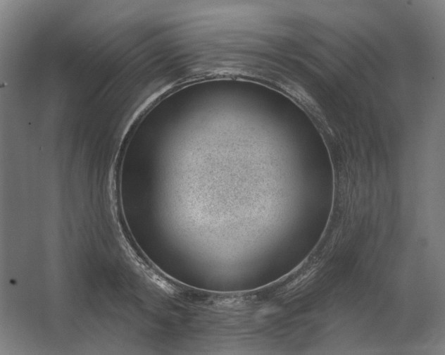 X0000062610798200601040938