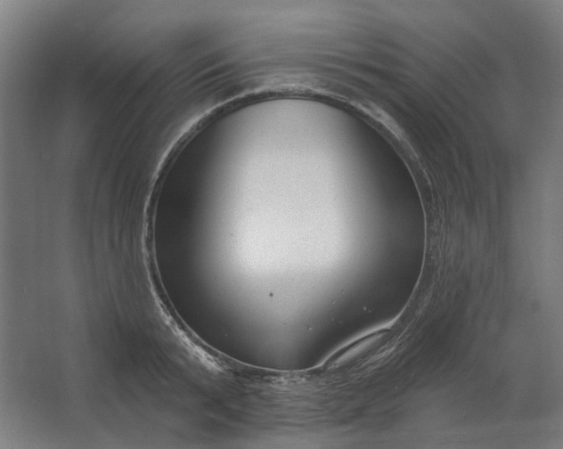 X0000062610799200601040938