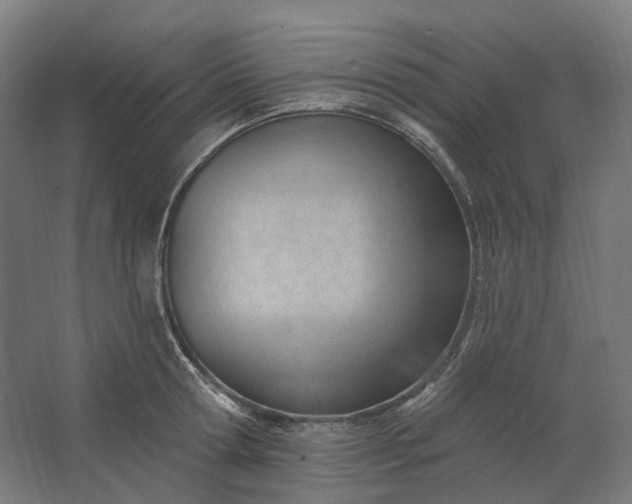 X0000062610802200601040938