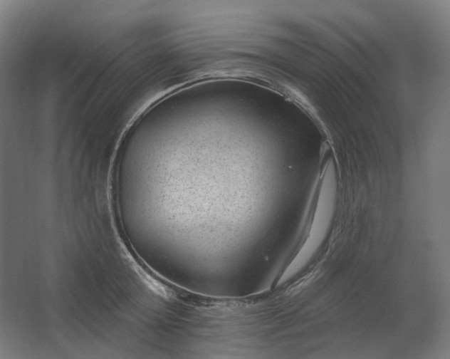 X0000062610803200601040938