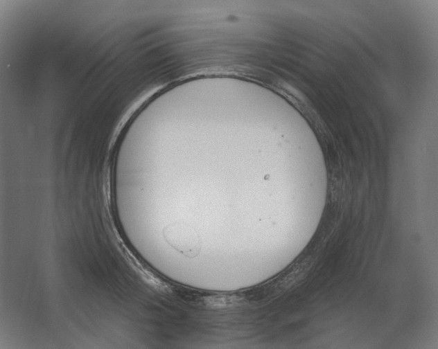 X0000062610804200601040938