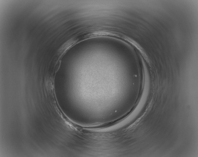 X0000062610809200601040938