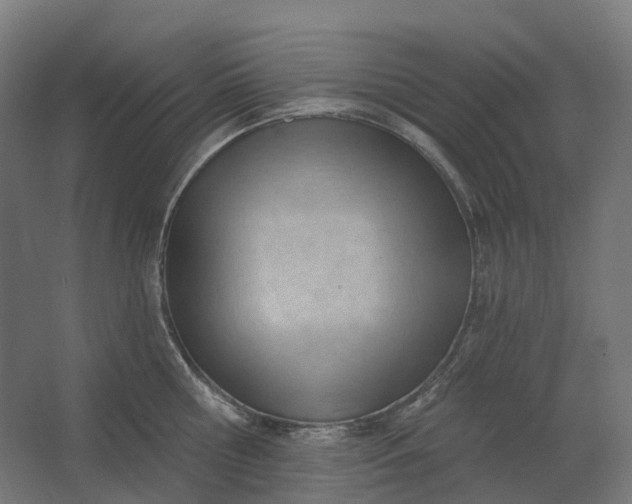 X0000062610810200601040937