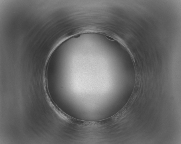 X0000062610811200601040937